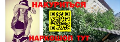 стаф Нальчик