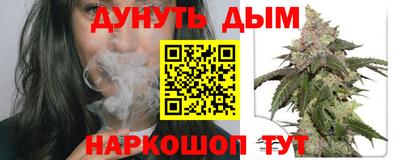 стаф Нальчик