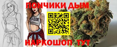 стаф Нальчик