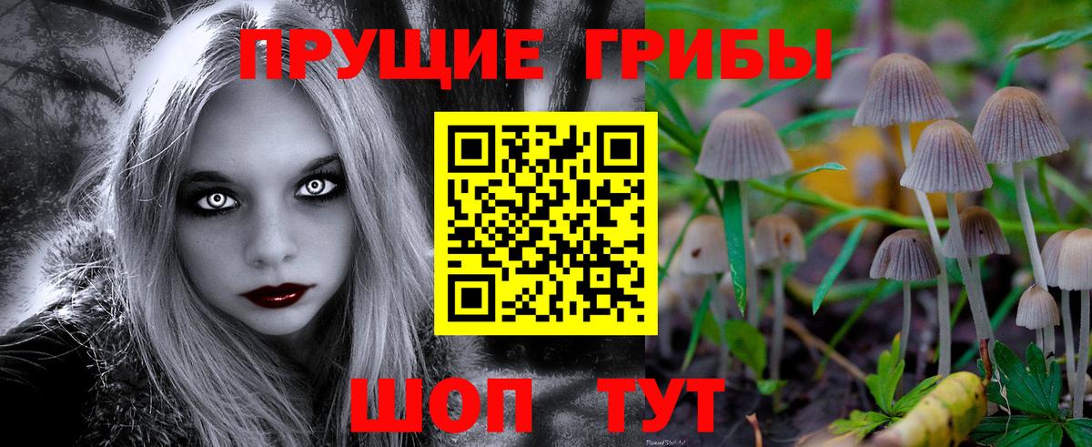Галлюциногенные грибы MAGIC MUSHROOMS  Галлюциногенные грибы мухоморы  Солнечногорск  Вход с VPN 